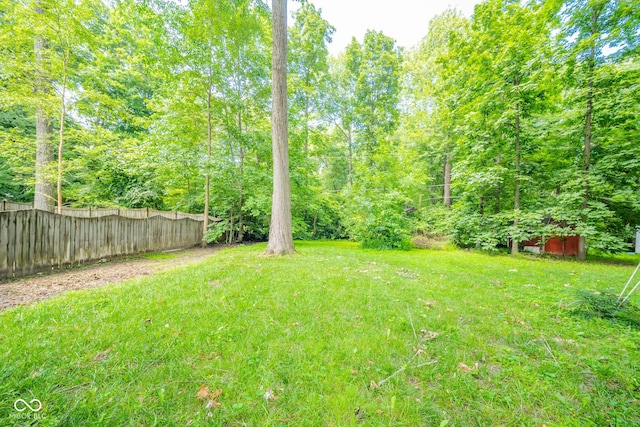 10104 Sycamore Ln, Indianapolis, IN 46239 - view of yard