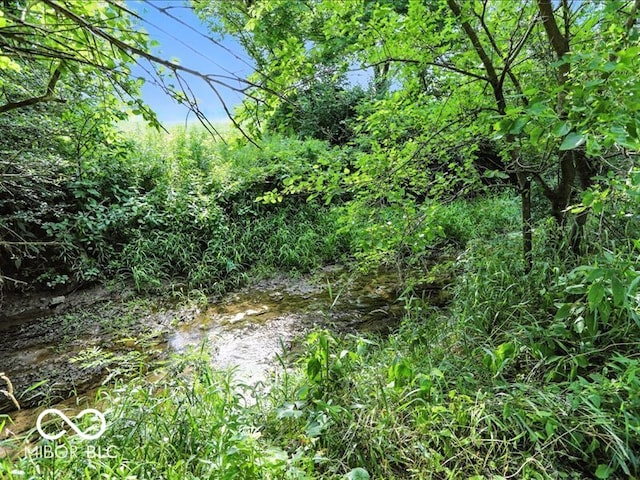 11093 N Pheasant Run, Fairland, IN 46126 - view of nature