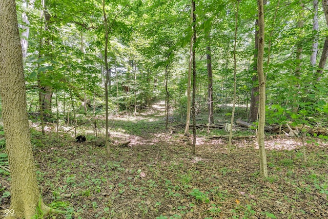 940 S County Road 200 W, Danville, IN 46122 - photo 77