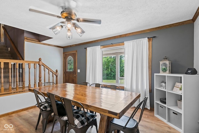 6092 N Jack Morgan Rd, Austin, IN 47102 - dining area with stairs, light wood-type flooring, ceiling fan, crown molding, and a textured ceiling