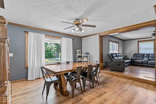 6092 N Jack Morgan Rd, Austin, IN 47102 - dining room featuring light wood-type flooring, a ceiling fan, a textured ceiling, and crown molding