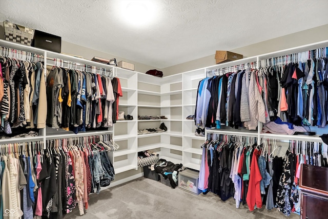 4596 Peabody Way, Westfield, IN 46062 - spacious closet with carpet flooring