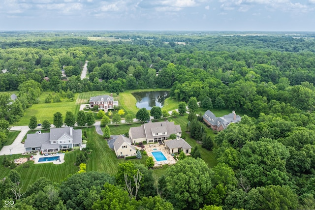 9681 Pleasant View Ln, Zionsville, IN 46077 - aerial view of a pool area and a large body of water