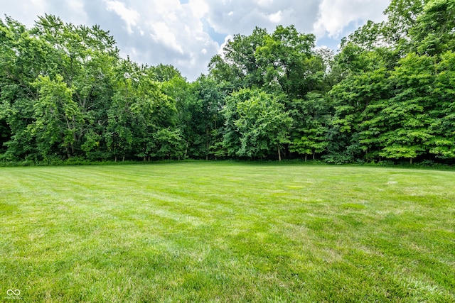 9681 Pleasant View Ln, Zionsville, IN 46077 - view of grassy yard with a view of trees