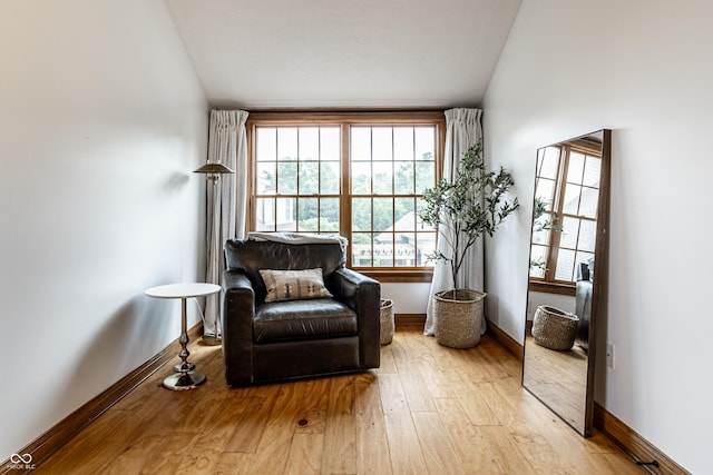 9681 Pleasant View Ln, Zionsville, IN 46077 - living area featuring light wood-type flooring and lofted ceiling