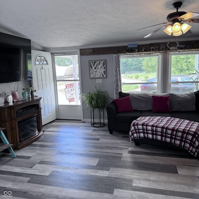 5279 E County Road 800 N, Rushville, IN 46173 - photo 23