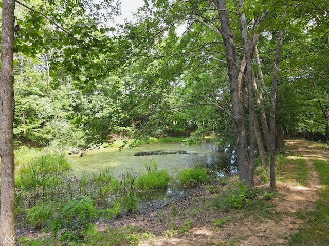 8099 S Breeden Rd, Bloomington, IN 47403 - photo 27