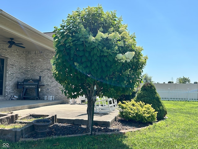 2080 Galway Trl N, Madison, IN 47250 - view of yard featuring a patio and a ceiling fan