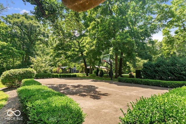 6470 Around The Hills Rd, Indianapolis, IN 46226 - view of basketball court featuring community basketball court