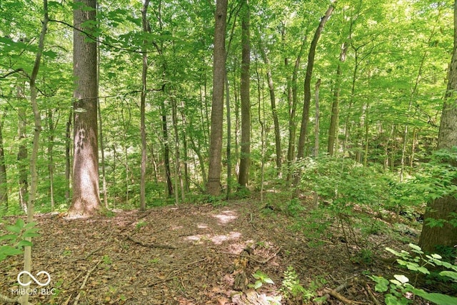 6470 Around The Hills Rd, Indianapolis, IN 46226 - view of woods