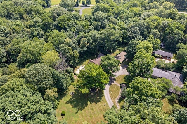 6470 Around The Hills Rd, Indianapolis, IN 46226 - view of property location with a forest