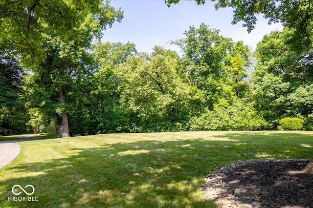 6470 Around The Hills Rd, Indianapolis, IN 46226 - view of green lawn