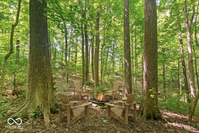 6470 Around The Hills Rd, Indianapolis, IN 46226 - view of woods