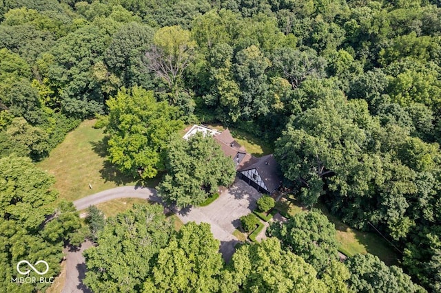 6470 Around The Hills Rd, Indianapolis, IN 46226 - aerial view of property's location with a forest
