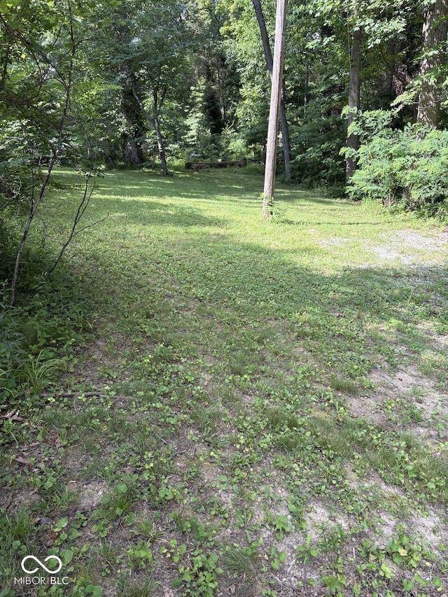 11107 E Dogwood Ln, Cloverdale, IN 46120 - photo 38