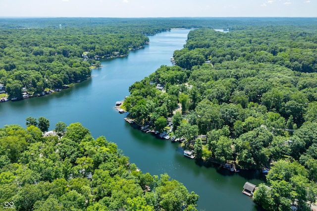 6254 Grosbeak Ct, Nineveh, IN 46164 - bird's eye view of a forest and a nearby body of water