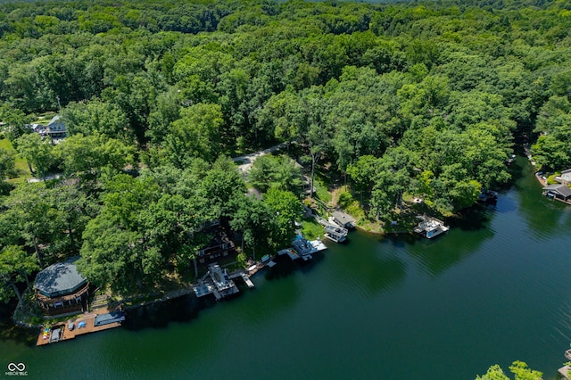 6254 Grosbeak Ct, Nineveh, IN 46164 - aerial overview of property's location with a forest and a nearby body of water