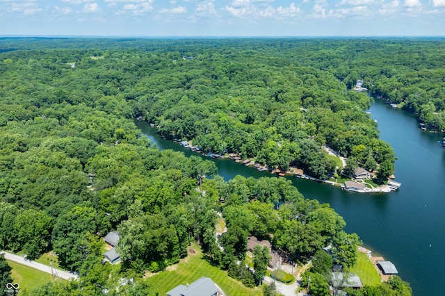 6254 Grosbeak Ct, Nineveh, IN 46164 - bird's eye view of a large body of water