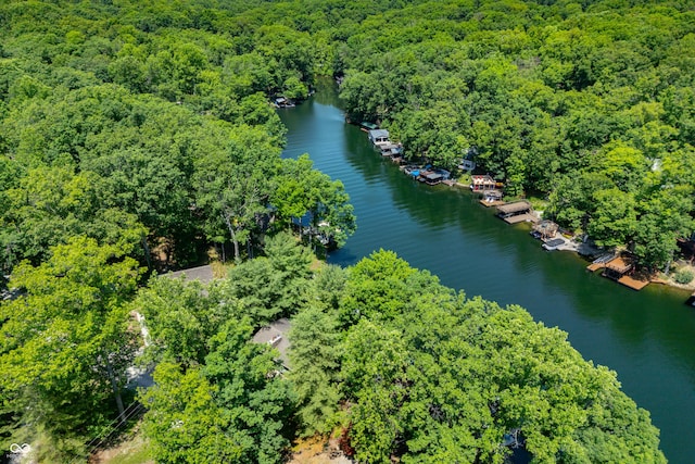 6254 Grosbeak Ct, Nineveh, IN 46164 - bird's eye view of a large body of water and a heavily wooded area