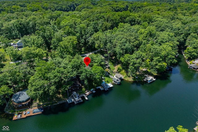6254 Grosbeak Ct, Nineveh, IN 46164 - aerial overview of property's location featuring a heavily wooded area and a large body of water