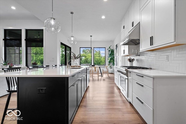 20440 Chatham Hills Blvd, Westfield, IN 46074 - kitchen with high end stainless steel range, under cabinet range hood, light countertops, recessed lighting, and backsplash