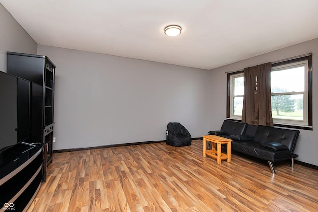 1202 E Stop 10th Rd, Indianapolis, IN 46227 - living room featuring light wood-style flooring and baseboards