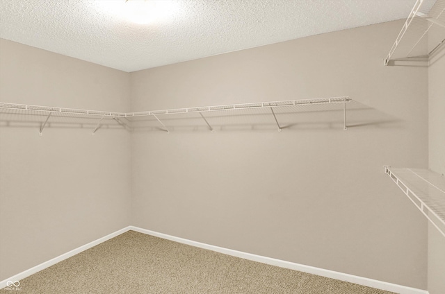 14373 Orange Blossom Trl, Fishers, IN 46038 - photo 38