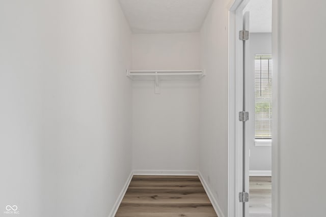 2359 Bremhaven Ct, Indianapolis, IN 46229 - walk in closet with wood finished floors