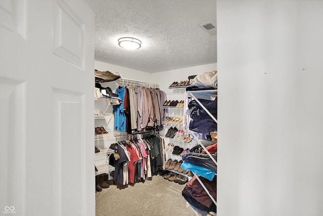 421 Lowry St, Jamestown, IN 46147 - spacious closet featuring carpet