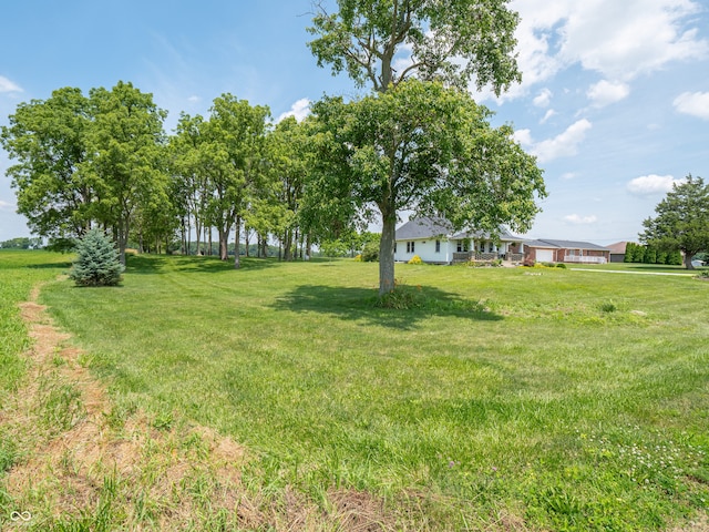 1556 E 400 S, Greenfield, IN 46140 - view of grassy yard