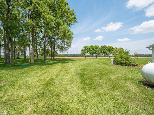 1556 E 400 S, Greenfield, IN 46140 - view of green lawn