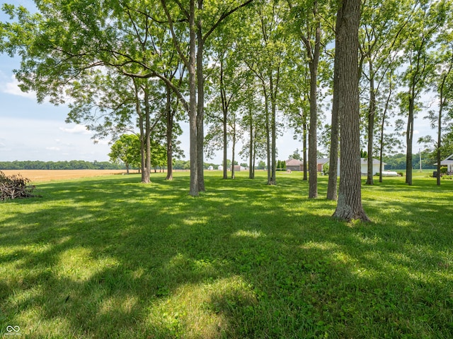 1556 E 400 S, Greenfield, IN 46140 - view of grassy yard