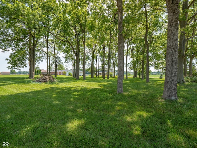 1556 E 400 S, Greenfield, IN 46140 - view of grassy yard