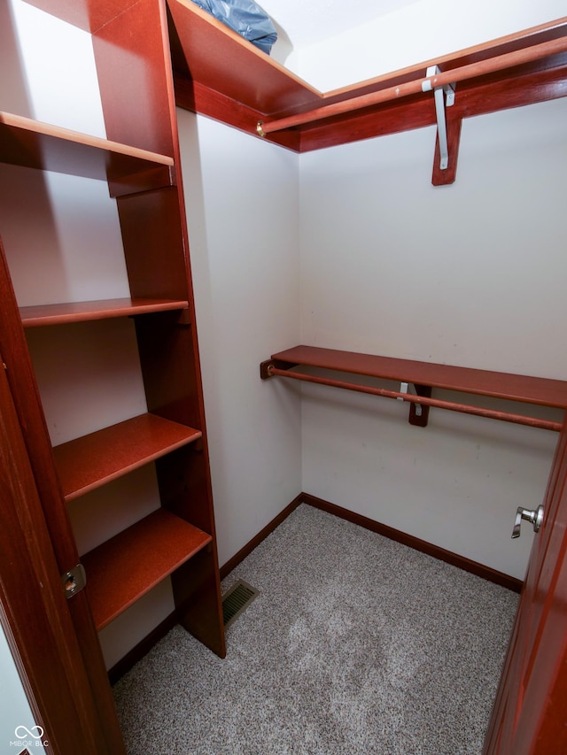 4443 W Windsong Ct, New Palestine, IN 46163 - spacious closet with carpet