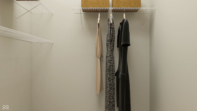 655 Bridgeman Rd, Avon, IN 46123 - view of walk in closet