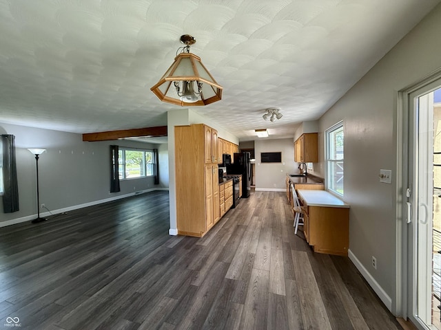 9808 E Troy Ave, Indianapolis, IN 46239 - kitchen featuring healthy amount of natural light, open floor plan, dark wood-type flooring, and black range with gas stovetop