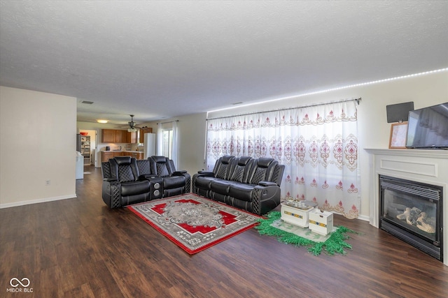 3624 Newberry Rd, Plainfield, IN 46168 - living room with wood finished floors, a glass covered fireplace, and a textured ceiling