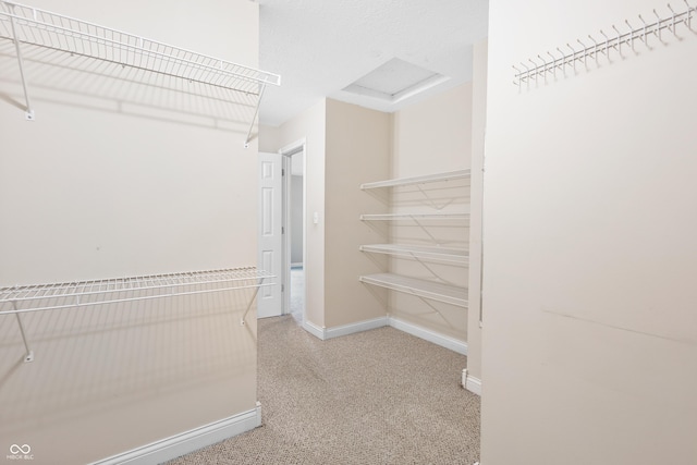 3244 Skyview Ct, Columbus, IN 47203 - walk in closet with carpet flooring and attic access