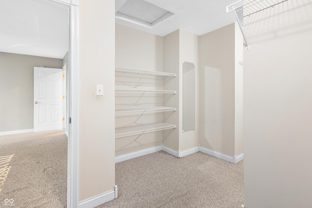3244 Skyview Ct, Columbus, IN 47203 - spacious closet featuring carpet floors and attic access
