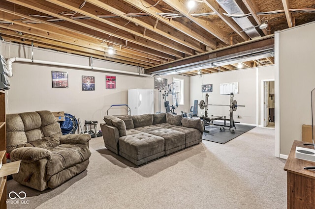 11 Stratford Way, Danville, IN 46122 - view of carpeted living area
