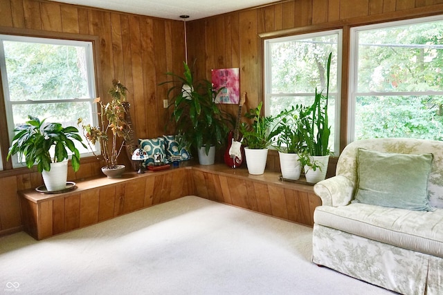 7780 Cree Trl, Indianapolis, IN 46250 - living area featuring carpet and wooden walls