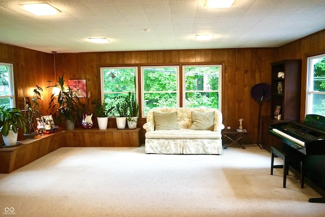 7780 Cree Trl, Indianapolis, IN 46250 - carpeted living room featuring plenty of natural light and wooden walls