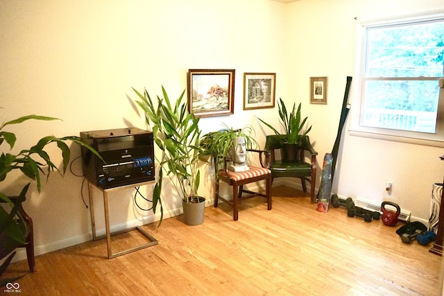 7780 Cree Trl, Indianapolis, IN 46250 - living area featuring wood finished floors and baseboards