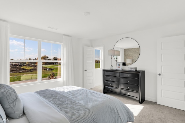 860 Hardin Pl, Greenwood, IN 46143 - bedroom featuring light carpet and multiple windows