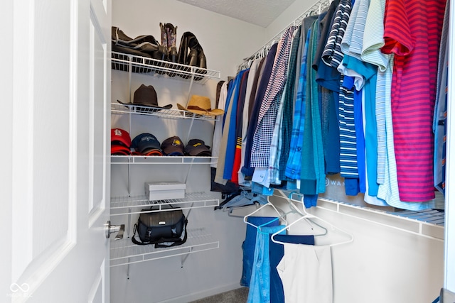 7683 Madden Dr, Fishers, IN 46038 - view of spacious closet