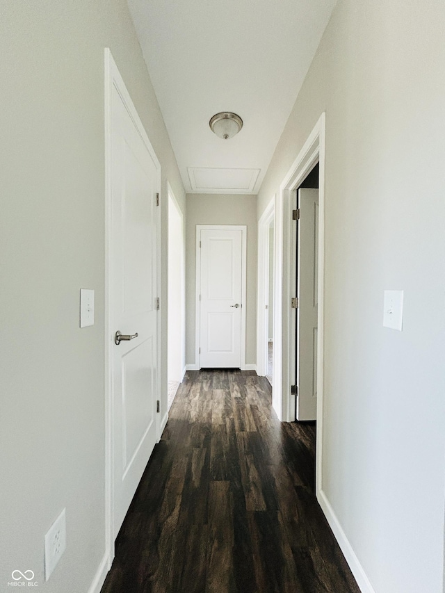 10 Doe Creek Cir, Cloverdale, IN 46120 - hall with dark wood-style floors and baseboards