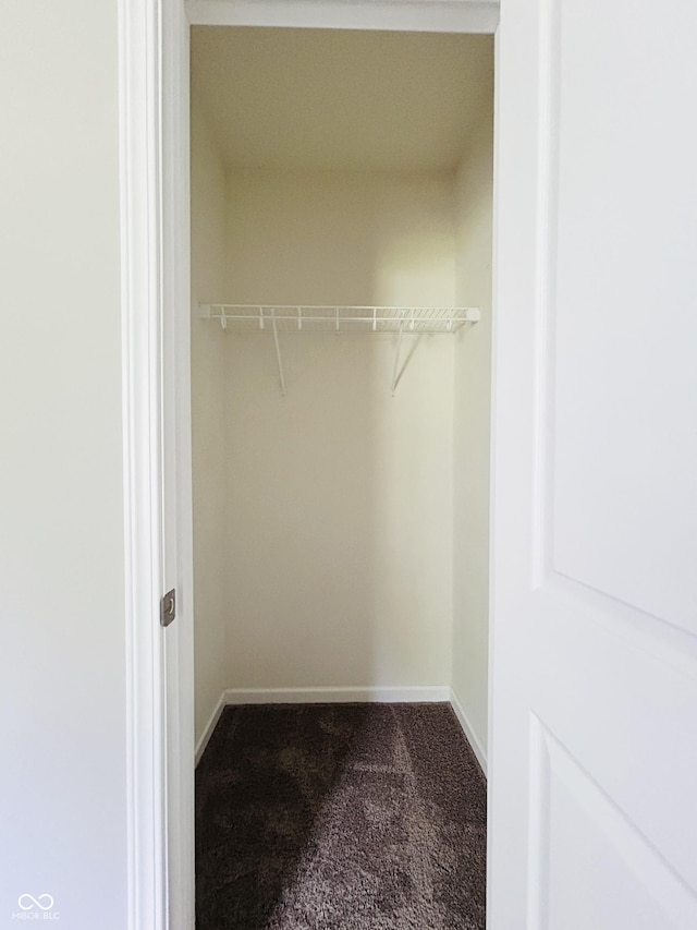 10 Doe Creek Cir, Cloverdale, IN 46120 - view of closet