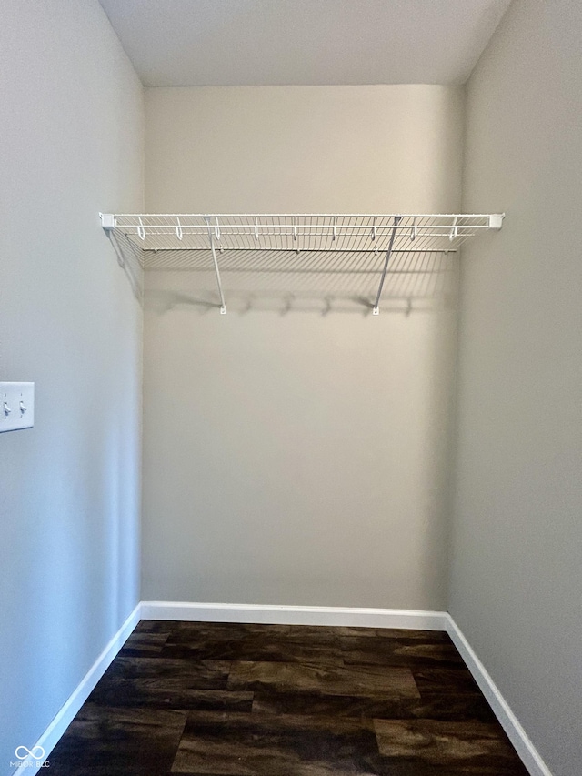 10 Doe Creek Cir, Cloverdale, IN 46120 - spacious closet with dark wood-type flooring