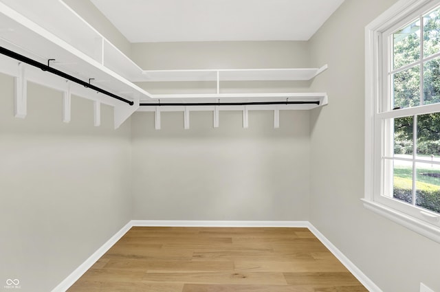 6711 Lafayette Rd, Indianapolis, IN 46278 - walk in closet with light wood-type flooring