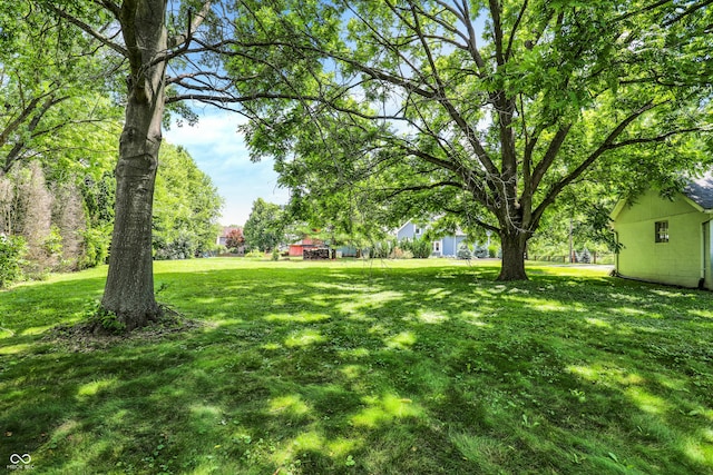 6711 Lafayette Rd, Indianapolis, IN 46278 - view of grassy yard